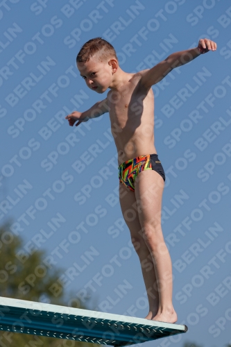2017 - 8. Sofia Diving Cup 2017 - 8. Sofia Diving Cup 03012_15483.jpg