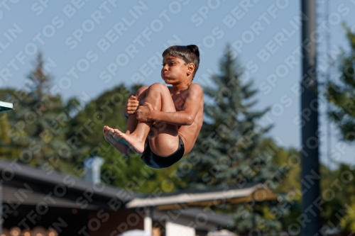 2017 - 8. Sofia Diving Cup 2017 - 8. Sofia Diving Cup 03012_15495.jpg