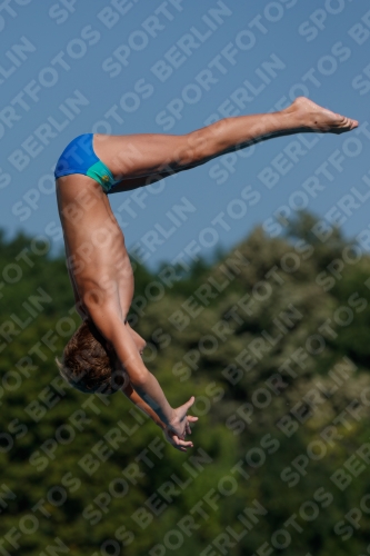 2017 - 8. Sofia Diving Cup 2017 - 8. Sofia Diving Cup 03012_15610.jpg