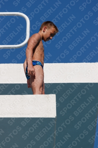 2017 - 8. Sofia Diving Cup 2017 - 8. Sofia Diving Cup 03012_15627.jpg