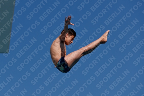 2017 - 8. Sofia Diving Cup 2017 - 8. Sofia Diving Cup 03012_15666.jpg