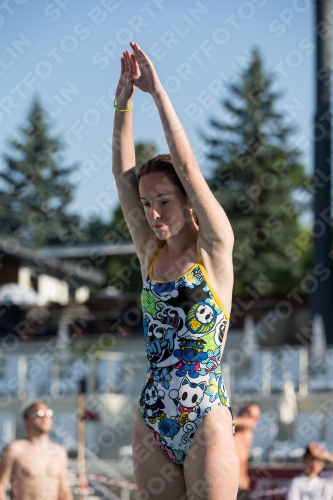 2017 - 8. Sofia Diving Cup 2017 - 8. Sofia Diving Cup 03012_15759.jpg