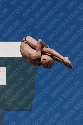 2017 - 8. Sofia Diving Cup 2017 - 8. Sofia Diving Cup 03012_15764.jpg