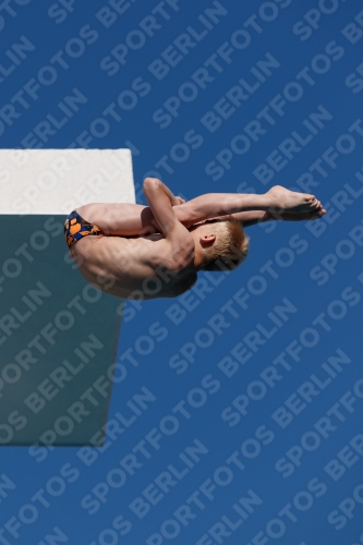 2017 - 8. Sofia Diving Cup 2017 - 8. Sofia Diving Cup 03012_15765.jpg