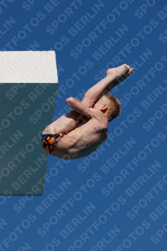 2017 - 8. Sofia Diving Cup 2017 - 8. Sofia Diving Cup 03012_15766.jpg