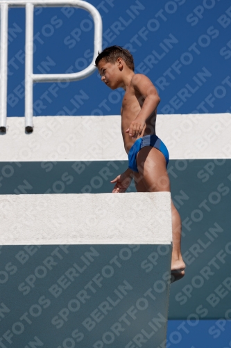 2017 - 8. Sofia Diving Cup 2017 - 8. Sofia Diving Cup 03012_15813.jpg