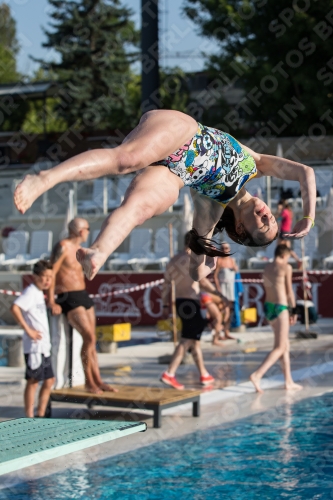 2017 - 8. Sofia Diving Cup 2017 - 8. Sofia Diving Cup 03012_15815.jpg