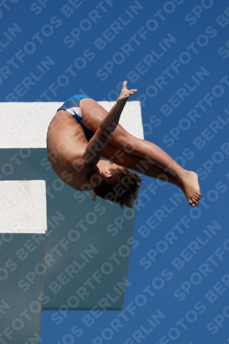 2017 - 8. Sofia Diving Cup 2017 - 8. Sofia Diving Cup 03012_15819.jpg