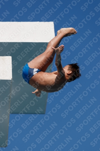 2017 - 8. Sofia Diving Cup 2017 - 8. Sofia Diving Cup 03012_15821.jpg
