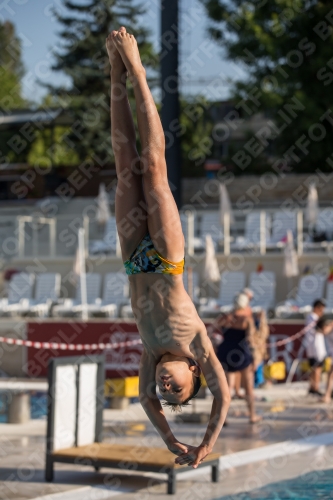 2017 - 8. Sofia Diving Cup 2017 - 8. Sofia Diving Cup 03012_15877.jpg