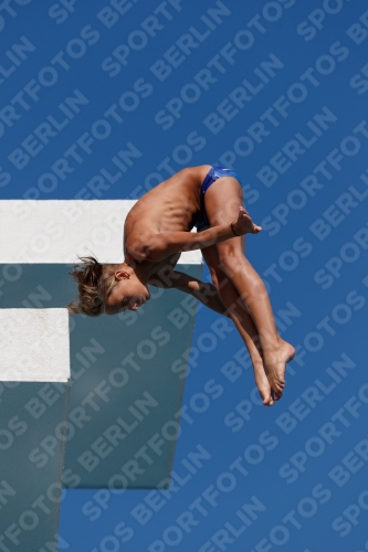 2017 - 8. Sofia Diving Cup 2017 - 8. Sofia Diving Cup 03012_15900.jpg