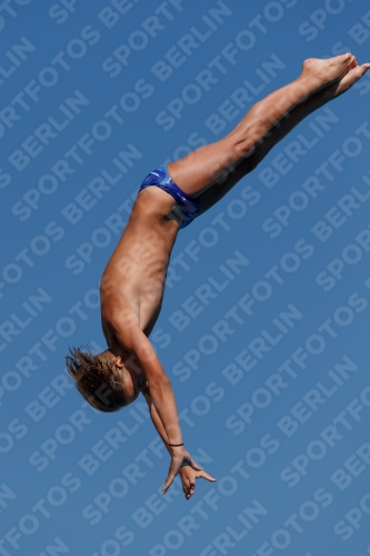 2017 - 8. Sofia Diving Cup 2017 - 8. Sofia Diving Cup 03012_15903.jpg