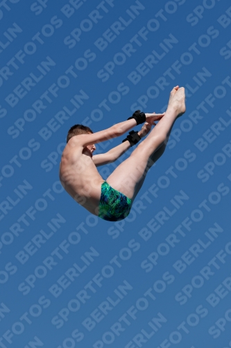 2017 - 8. Sofia Diving Cup 2017 - 8. Sofia Diving Cup 03012_15911.jpg