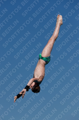 2017 - 8. Sofia Diving Cup 2017 - 8. Sofia Diving Cup 03012_15916.jpg