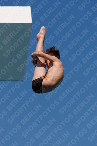 2017 - 8. Sofia Diving Cup 2017 - 8. Sofia Diving Cup 03012_15945.jpg