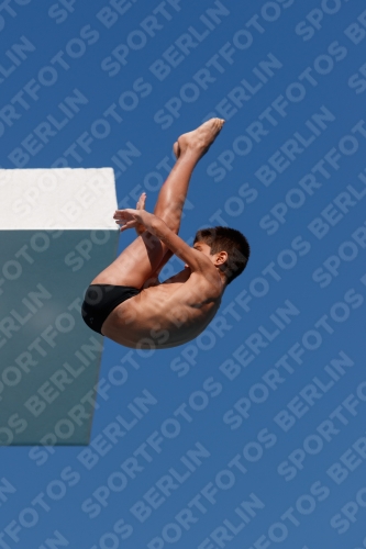 2017 - 8. Sofia Diving Cup 2017 - 8. Sofia Diving Cup 03012_15975.jpg