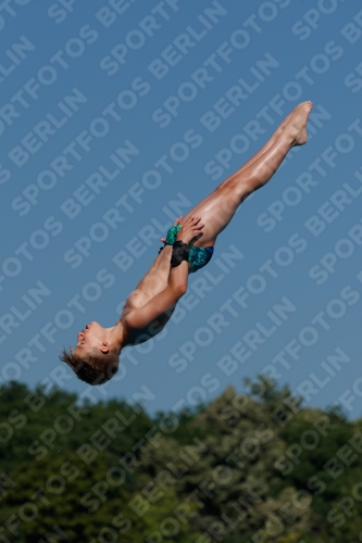 2017 - 8. Sofia Diving Cup 2017 - 8. Sofia Diving Cup 03012_16071.jpg