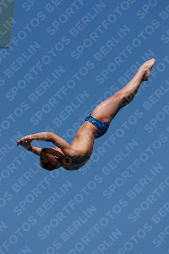 2017 - 8. Sofia Diving Cup 2017 - 8. Sofia Diving Cup 03012_16118.jpg