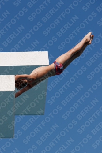2017 - 8. Sofia Diving Cup 2017 - 8. Sofia Diving Cup 03012_16147.jpg