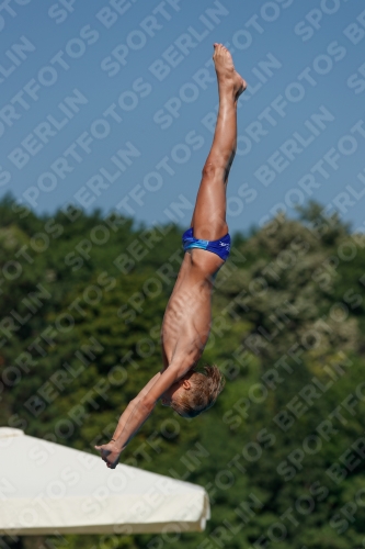 2017 - 8. Sofia Diving Cup 2017 - 8. Sofia Diving Cup 03012_16193.jpg