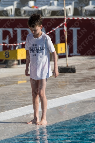 2017 - 8. Sofia Diving Cup 2017 - 8. Sofia Diving Cup 03012_16220.jpg