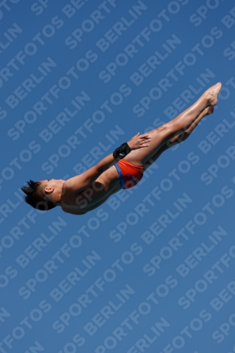 2017 - 8. Sofia Diving Cup 2017 - 8. Sofia Diving Cup 03012_16246.jpg