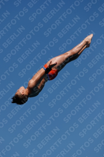 2017 - 8. Sofia Diving Cup 2017 - 8. Sofia Diving Cup 03012_16247.jpg