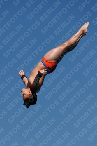 2017 - 8. Sofia Diving Cup 2017 - 8. Sofia Diving Cup 03012_16248.jpg