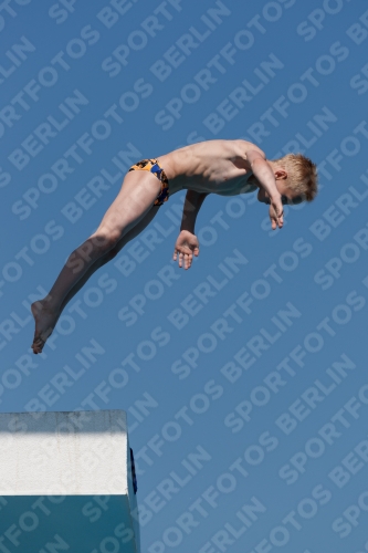 2017 - 8. Sofia Diving Cup 2017 - 8. Sofia Diving Cup 03012_16298.jpg