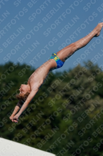 2017 - 8. Sofia Diving Cup 2017 - 8. Sofia Diving Cup 03012_16346.jpg