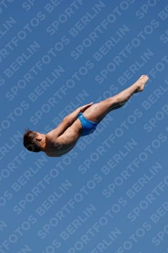 2017 - 8. Sofia Diving Cup 2017 - 8. Sofia Diving Cup 03012_16357.jpg