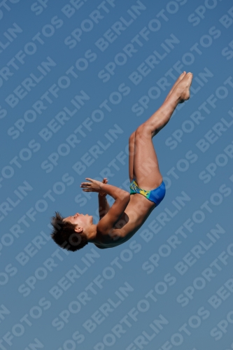 2017 - 8. Sofia Diving Cup 2017 - 8. Sofia Diving Cup 03012_16380.jpg