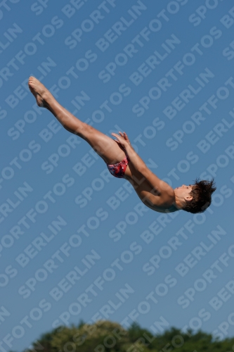 2017 - 8. Sofia Diving Cup 2017 - 8. Sofia Diving Cup 03012_16397.jpg