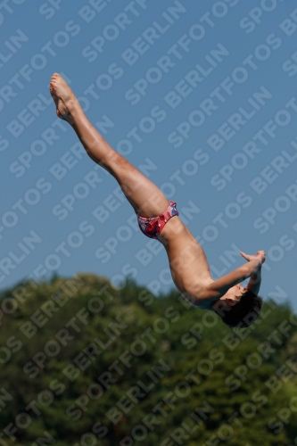 2017 - 8. Sofia Diving Cup 2017 - 8. Sofia Diving Cup 03012_16399.jpg