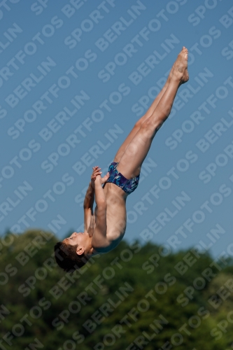 2017 - 8. Sofia Diving Cup 2017 - 8. Sofia Diving Cup 03012_16434.jpg