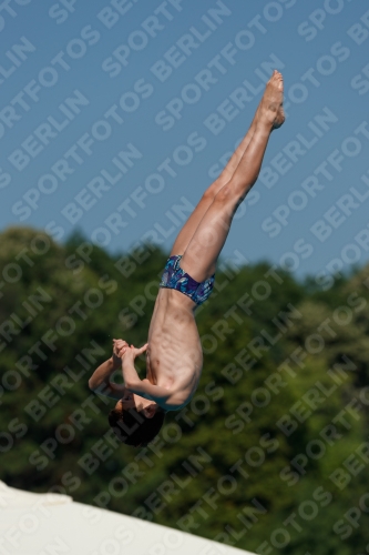 2017 - 8. Sofia Diving Cup 2017 - 8. Sofia Diving Cup 03012_16435.jpg