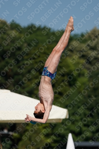 2017 - 8. Sofia Diving Cup 2017 - 8. Sofia Diving Cup 03012_16436.jpg