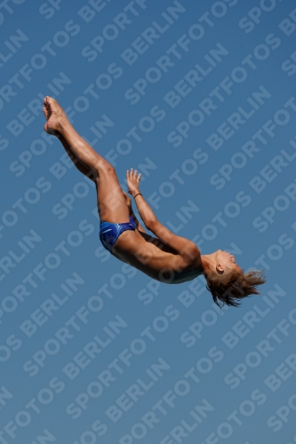 2017 - 8. Sofia Diving Cup 2017 - 8. Sofia Diving Cup 03012_16448.jpg