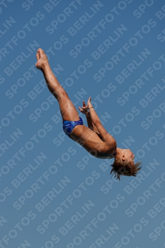 2017 - 8. Sofia Diving Cup 2017 - 8. Sofia Diving Cup 03012_16449.jpg