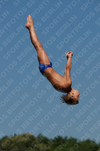 2017 - 8. Sofia Diving Cup 2017 - 8. Sofia Diving Cup 03012_16450.jpg