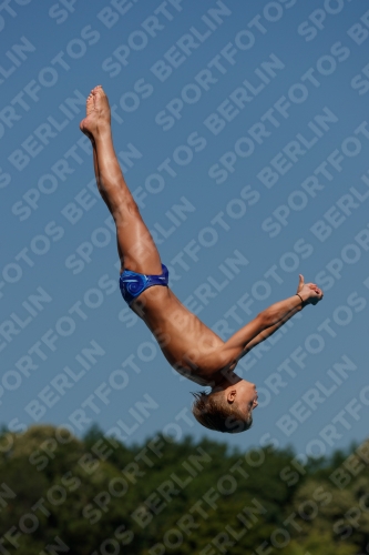 2017 - 8. Sofia Diving Cup 2017 - 8. Sofia Diving Cup 03012_16451.jpg