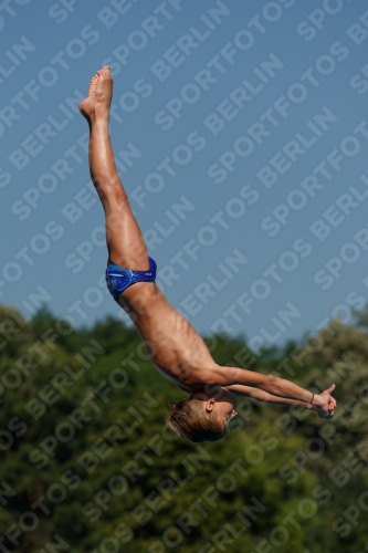 2017 - 8. Sofia Diving Cup 2017 - 8. Sofia Diving Cup 03012_16452.jpg