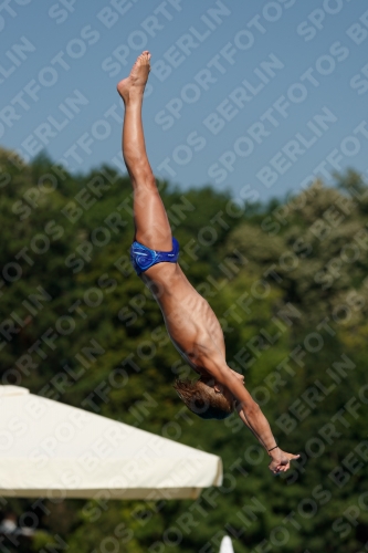 2017 - 8. Sofia Diving Cup 2017 - 8. Sofia Diving Cup 03012_16453.jpg