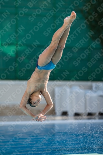 2017 - 8. Sofia Diving Cup 2017 - 8. Sofia Diving Cup 03012_16617.jpg