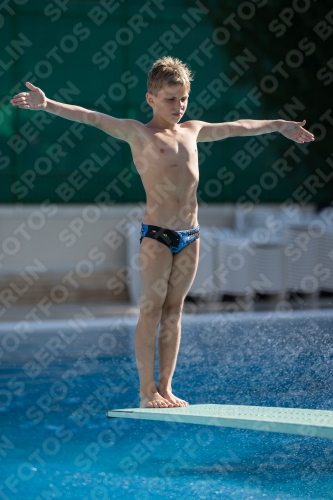 2017 - 8. Sofia Diving Cup 2017 - 8. Sofia Diving Cup 03012_16620.jpg