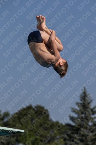 2017 - 8. Sofia Diving Cup 2017 - 8. Sofia Diving Cup 03012_16668.jpg