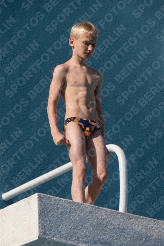 2017 - 8. Sofia Diving Cup 2017 - 8. Sofia Diving Cup 03012_16684.jpg