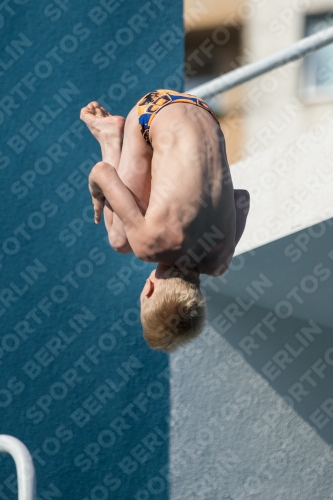 2017 - 8. Sofia Diving Cup 2017 - 8. Sofia Diving Cup 03012_16686.jpg