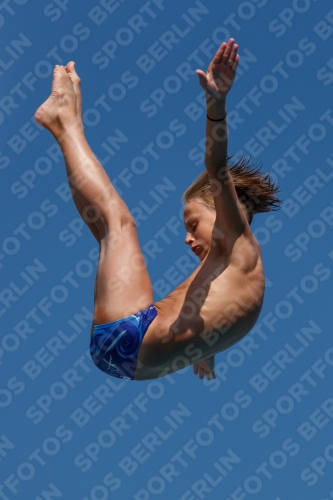 2017 - 8. Sofia Diving Cup 2017 - 8. Sofia Diving Cup 03012_16697.jpg
