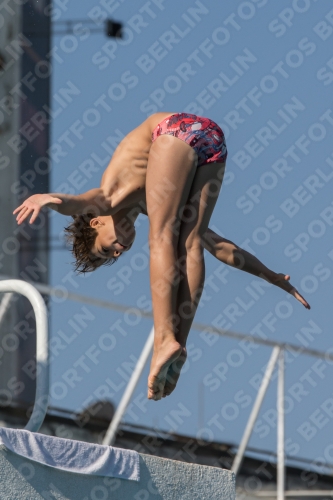 2017 - 8. Sofia Diving Cup 2017 - 8. Sofia Diving Cup 03012_16753.jpg